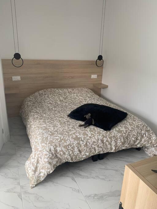 La Chambre De Flore 阿拉斯 外观 照片